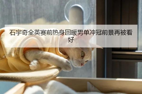 石宇奇全英赛前热身回暖男单冲冠前景再被看好